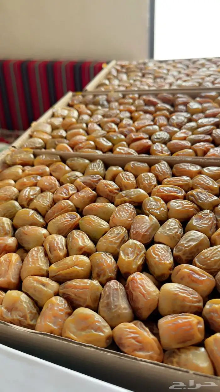 مفتل سكري حبه طيبه 0