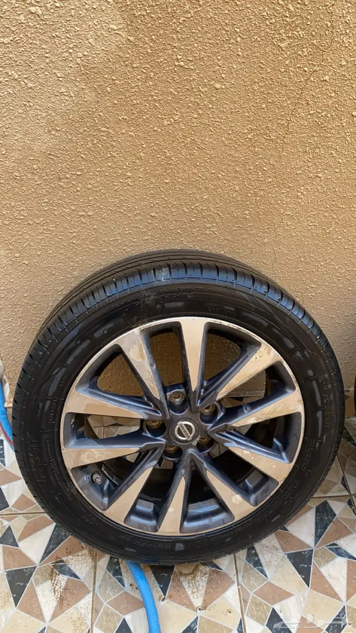 جنوط التيما 1