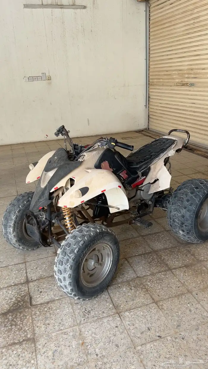 دباب اكبر حجم 0