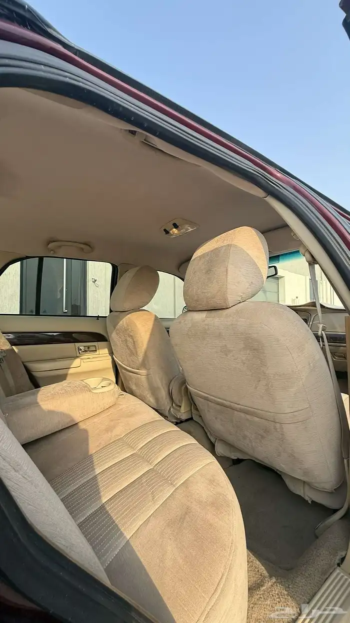 الخبر 19