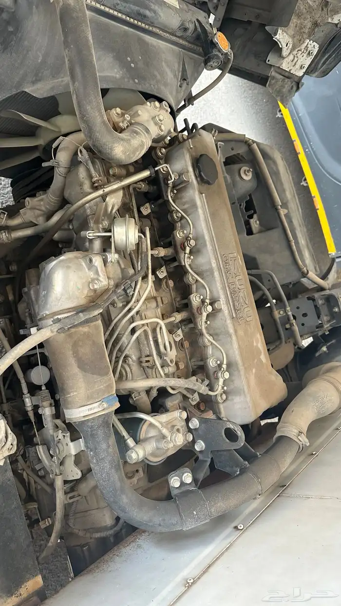 ايسوزو دينا 2016 8
