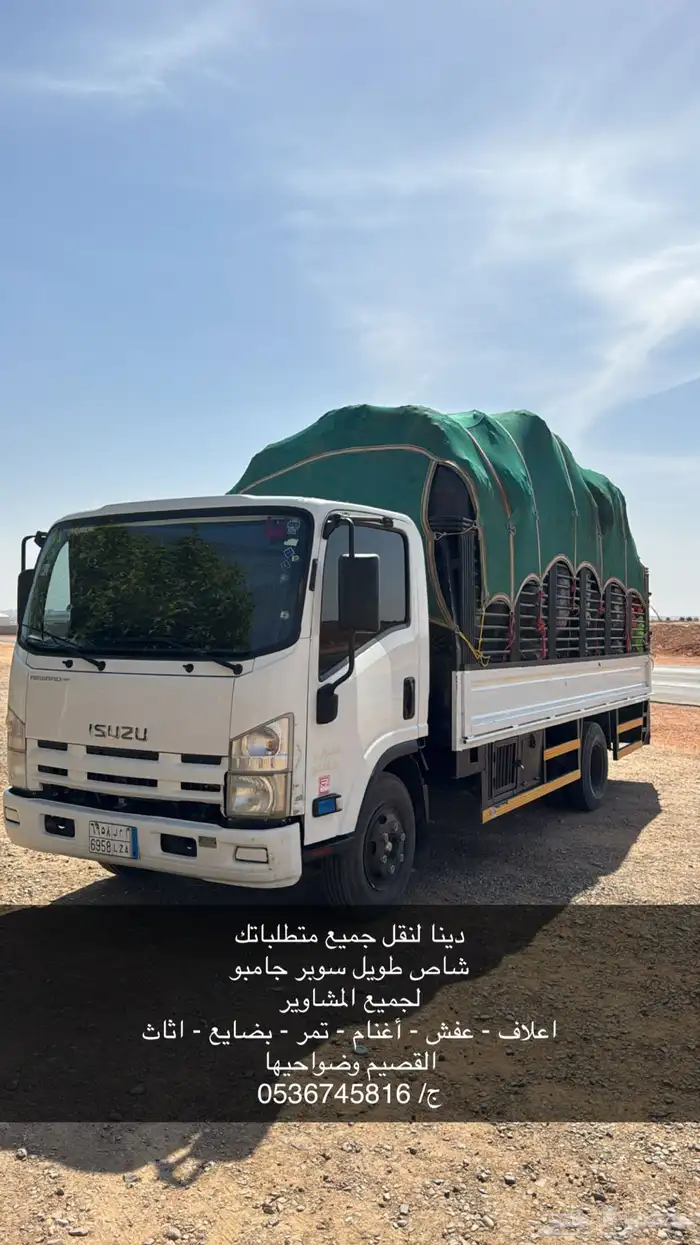 دينا مشاوير 0