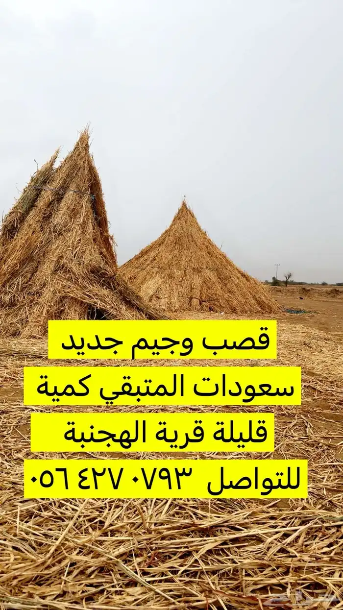 احد المسارحة الهجنبة 0