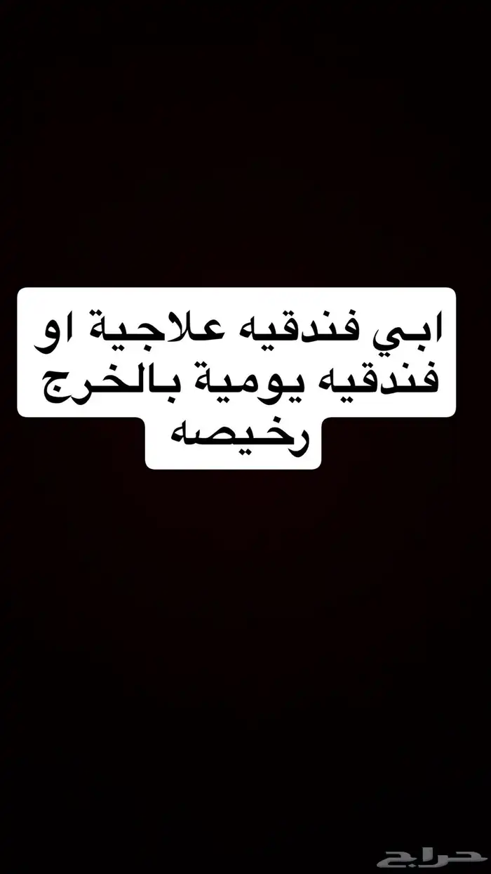 فندقيه قطط فندقية علاجية 0