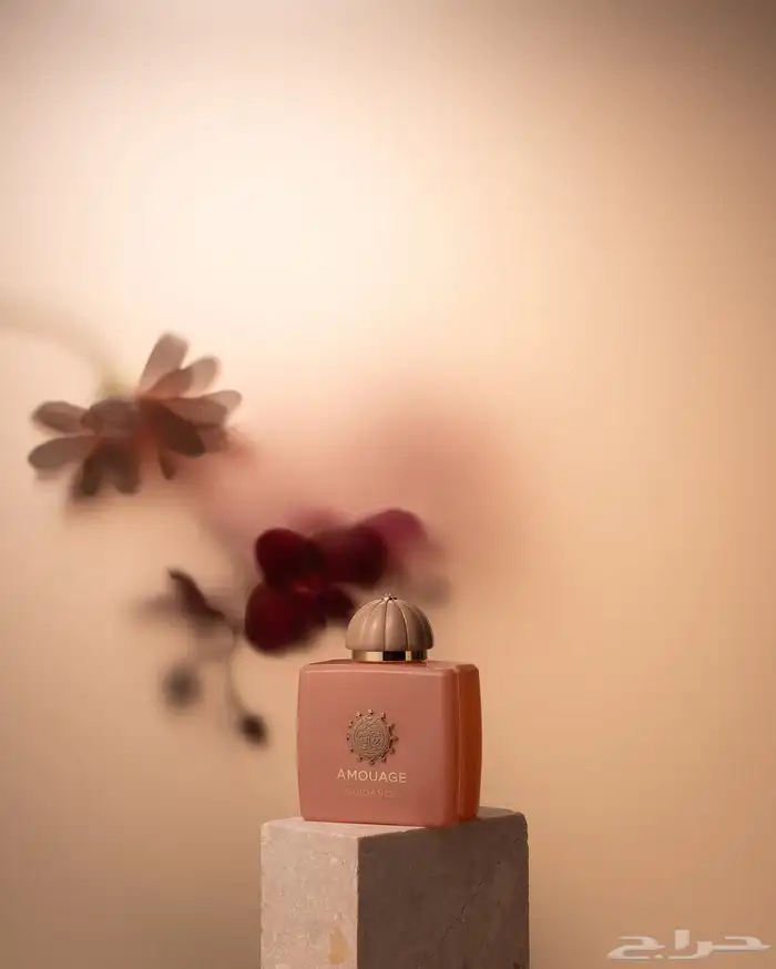 امواج جايدنس فرصه ب 199 ريال وشحن مجاني 2