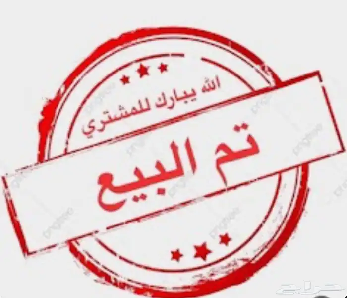 دجاجه مفرخة بلدي صوص بلدي 4