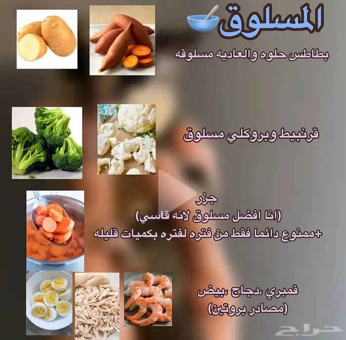 سناجب قلايدر بجدة 1