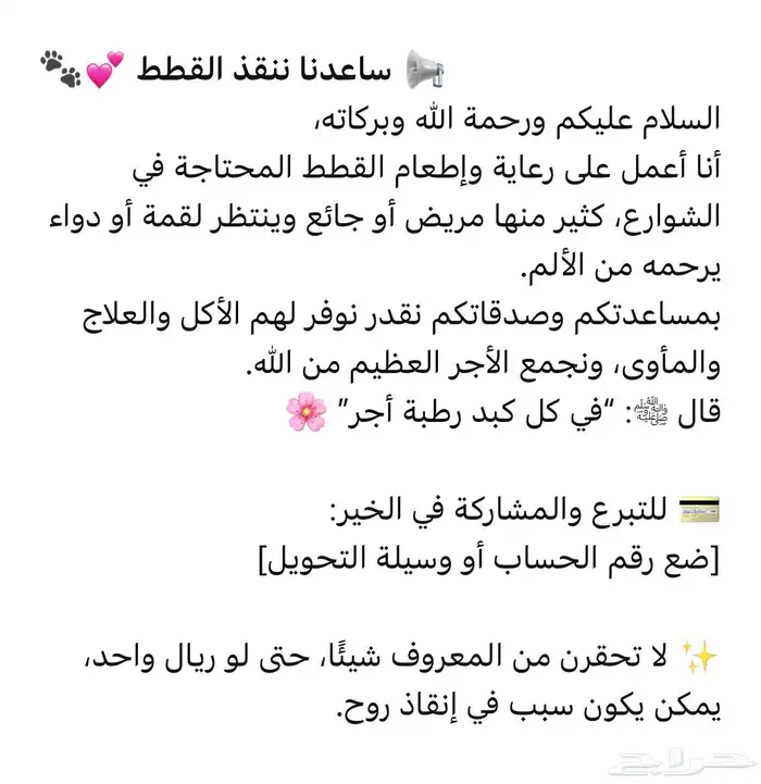 صدقة طعام للقطط كن سبب ا في سعادتهم ولو بريال 0
