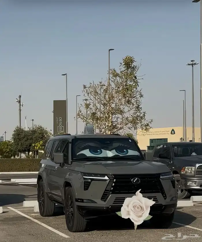 شماسة سيارة برسمة عيون كرتونية مميزة 0