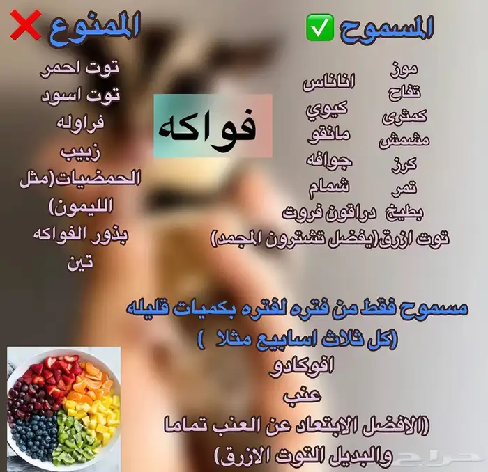 سناجب قلايدر بجدة 5