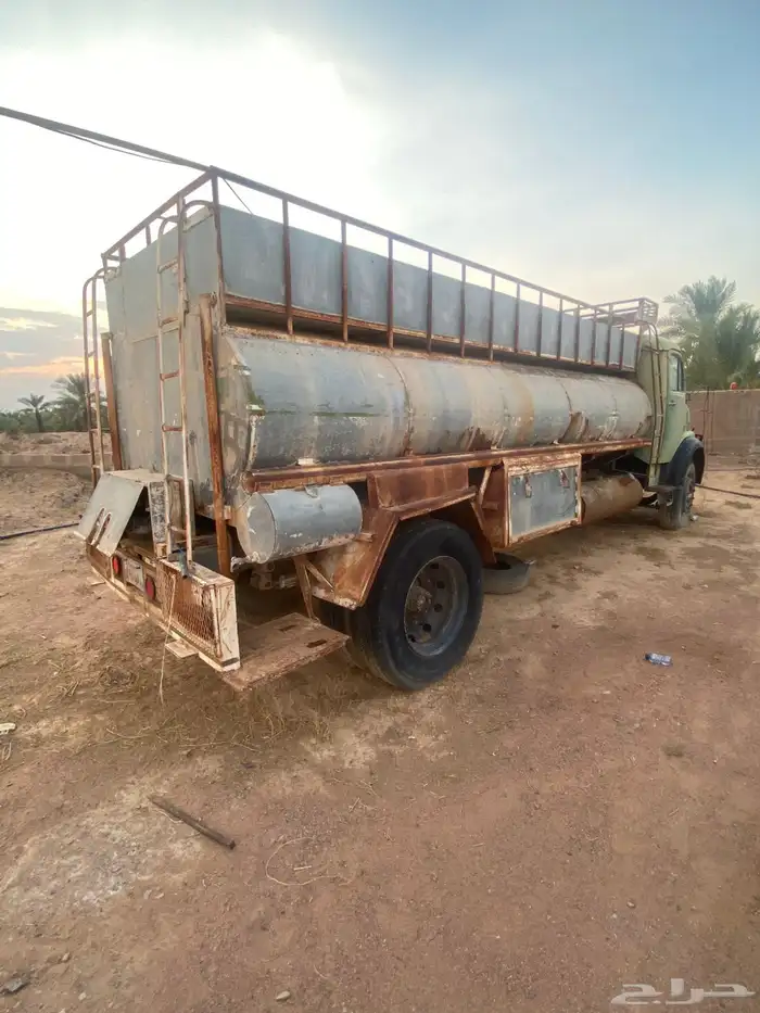 وايت حصنان 84 0