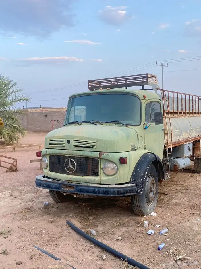 وايت حصنان 84 2