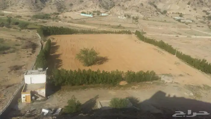 مزرعه للبيع رجال المع رقعاء 0