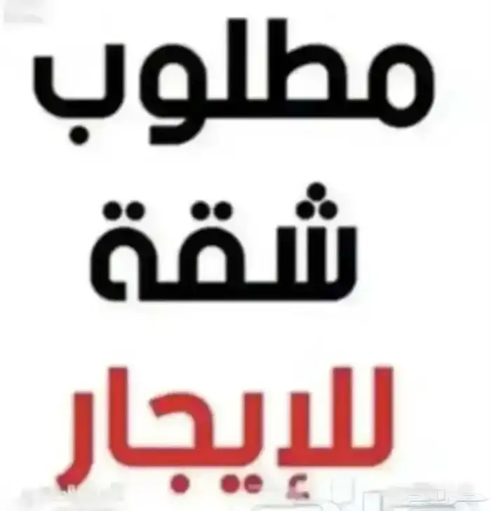 مطلوب شقة للابجار الشهري 0