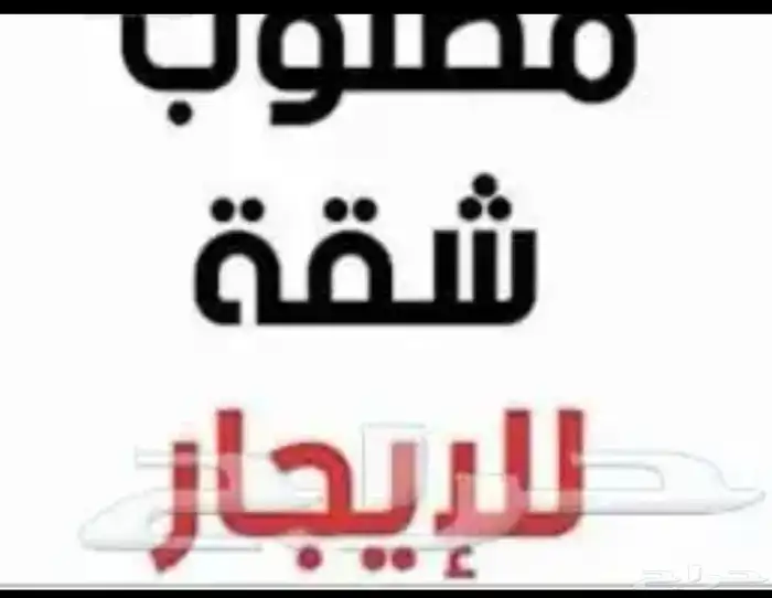 مطلوب شقة للايجار في شقراء 0