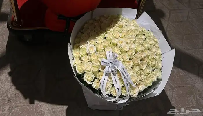 مندوب هدايا ومتسوق 7