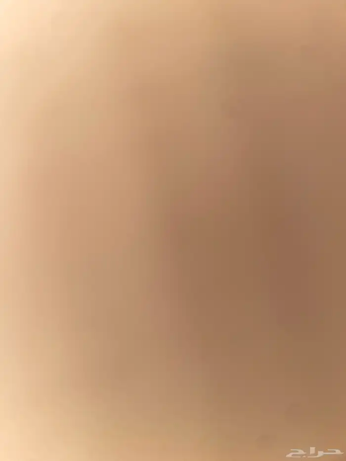 برتغال شغال بيع. شغال أربع عيون كله شغال 0