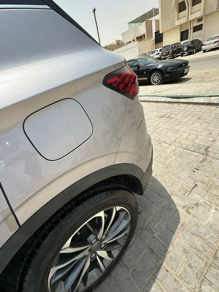 جيلي كولراي 2021 6