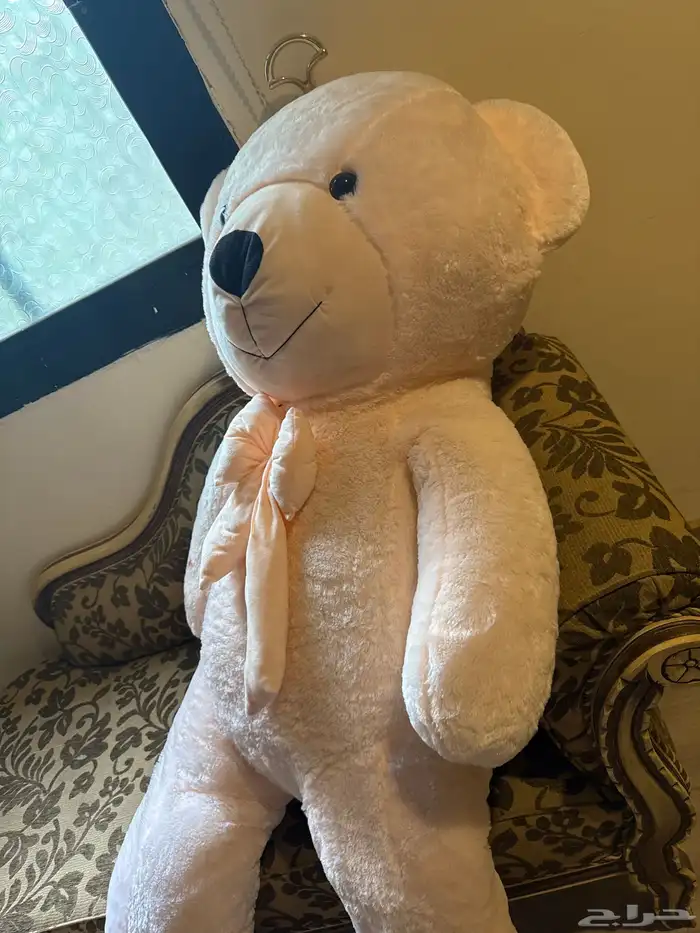 دب للبيع جديد 2