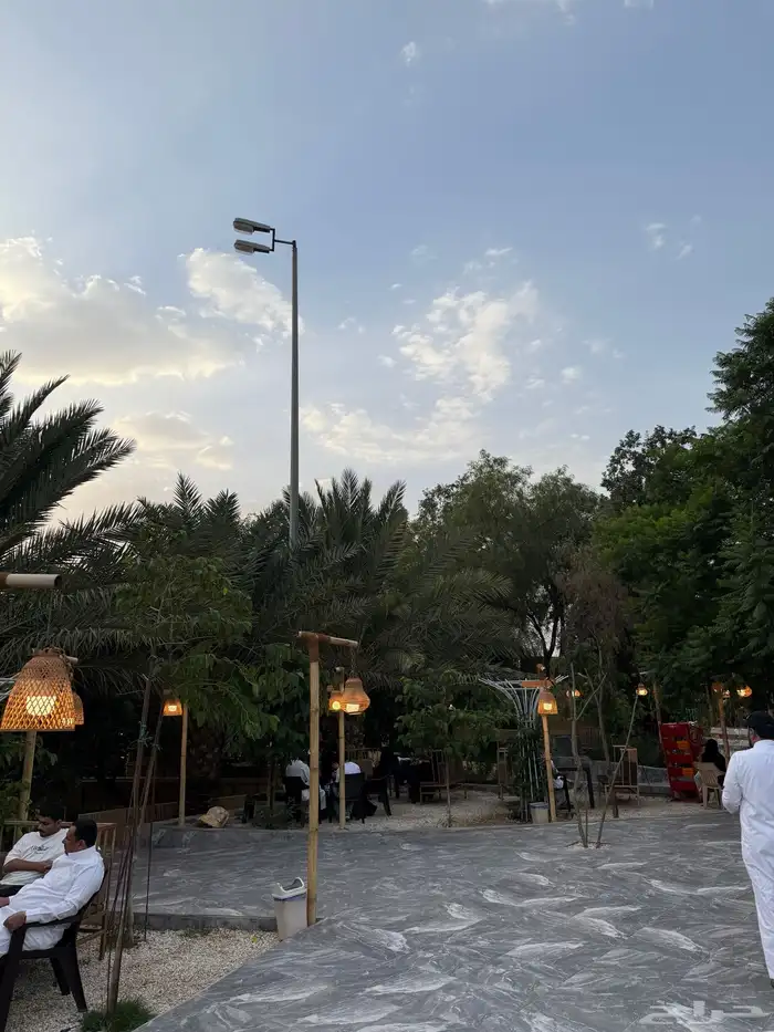 مرشد سياحي في أبها 13