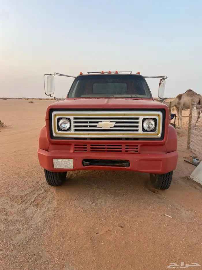 للبيع وايت جمس 0