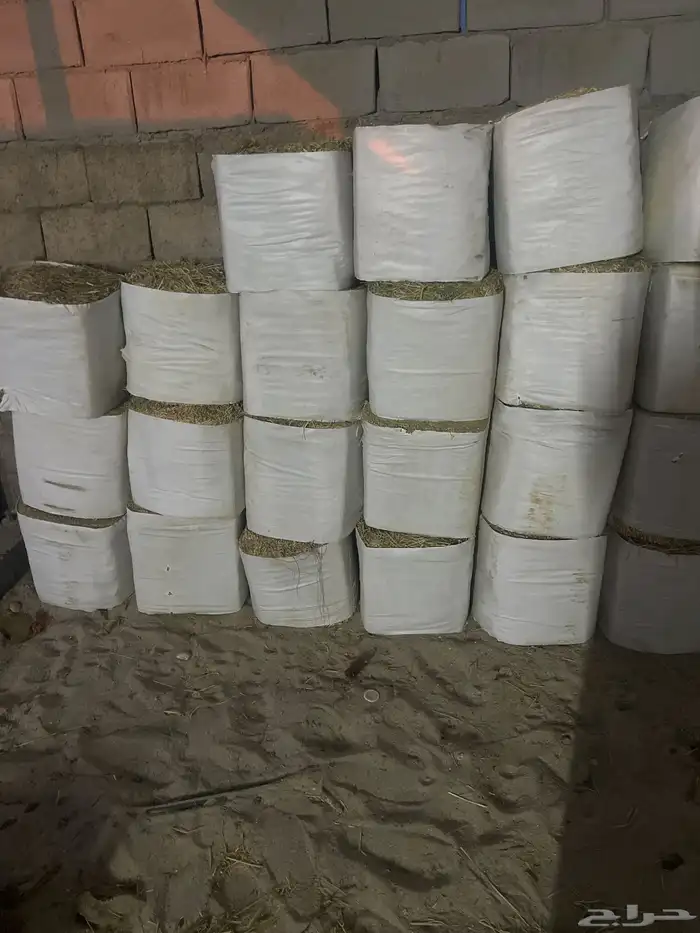 بيشه 0