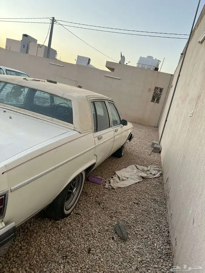 للبيع بيوك 83 4