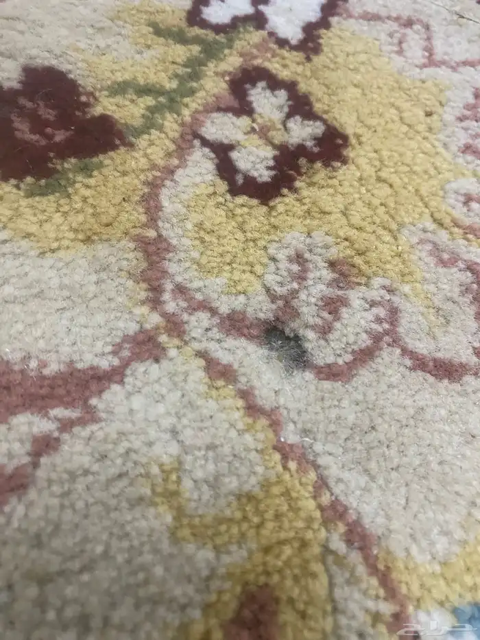فرشة مع مجلس 3