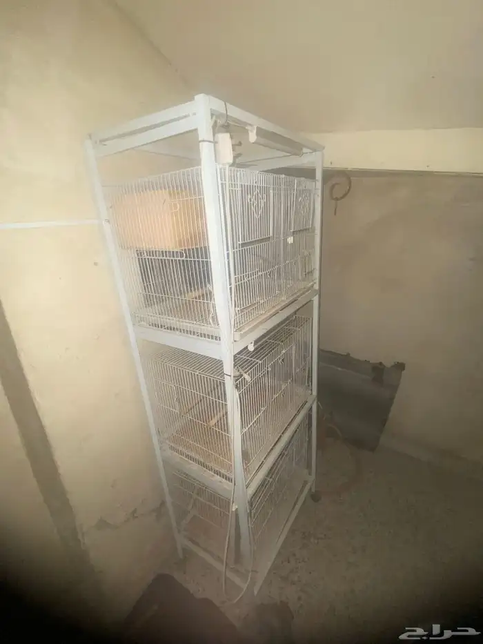 قفص طيور 0