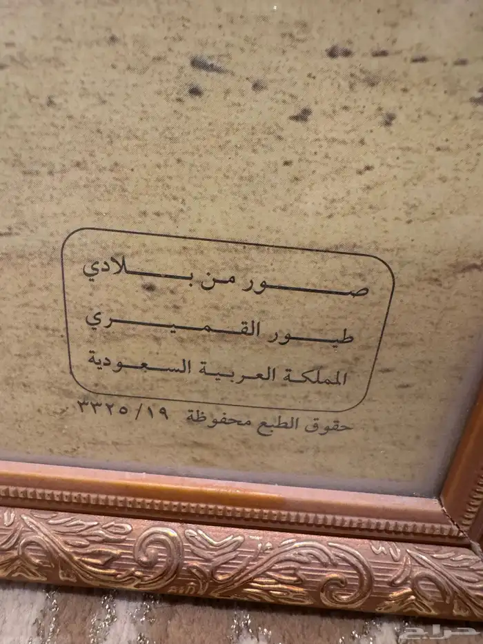 لوحة قميري 3