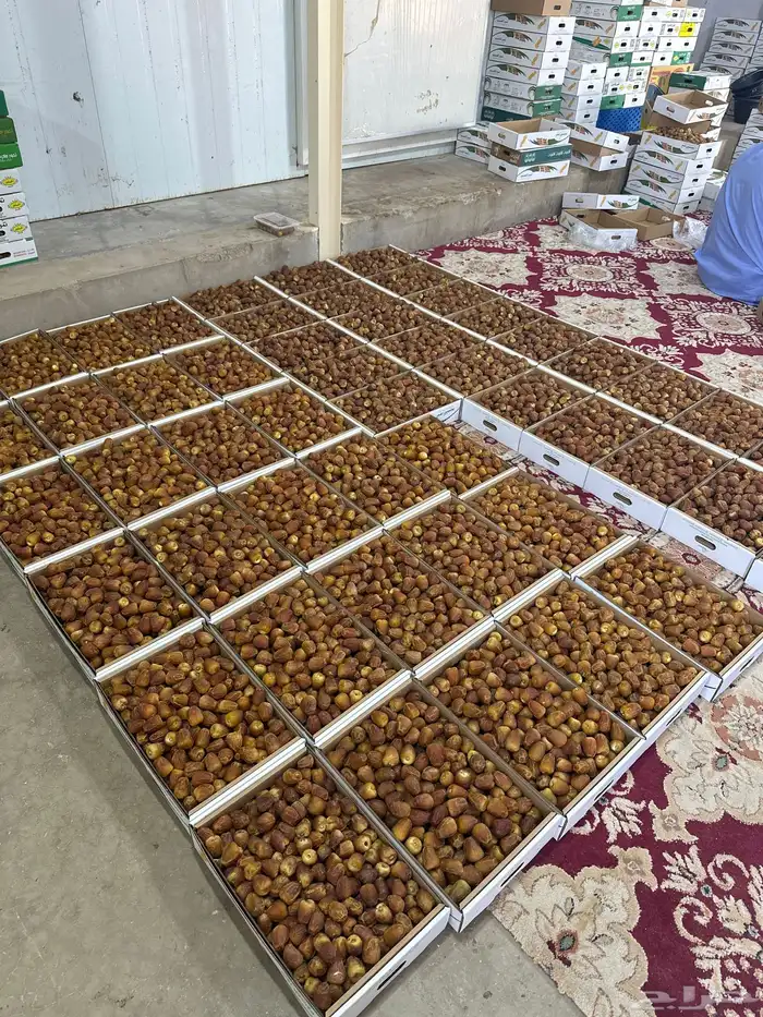 تمر للبيع 0