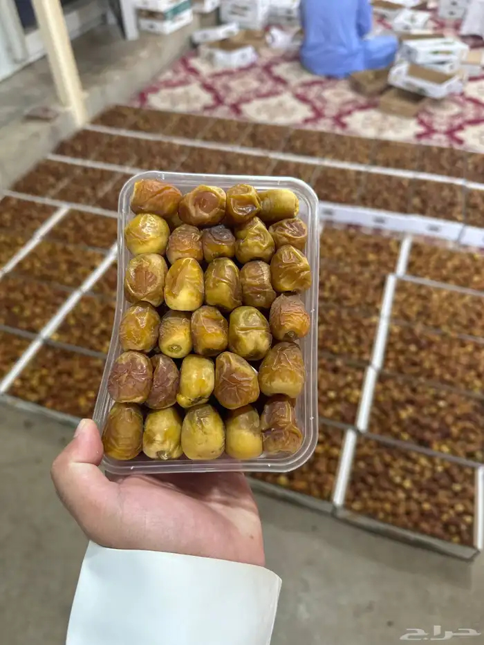 تمر للبيع 1