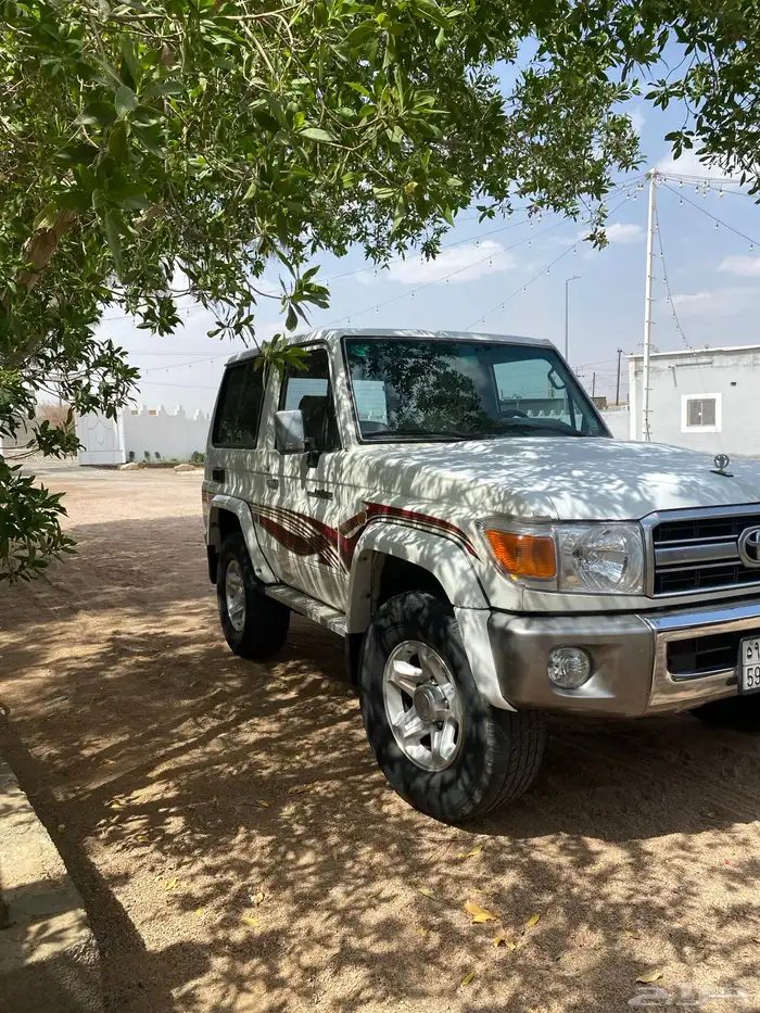 جيب ربع 2009 3