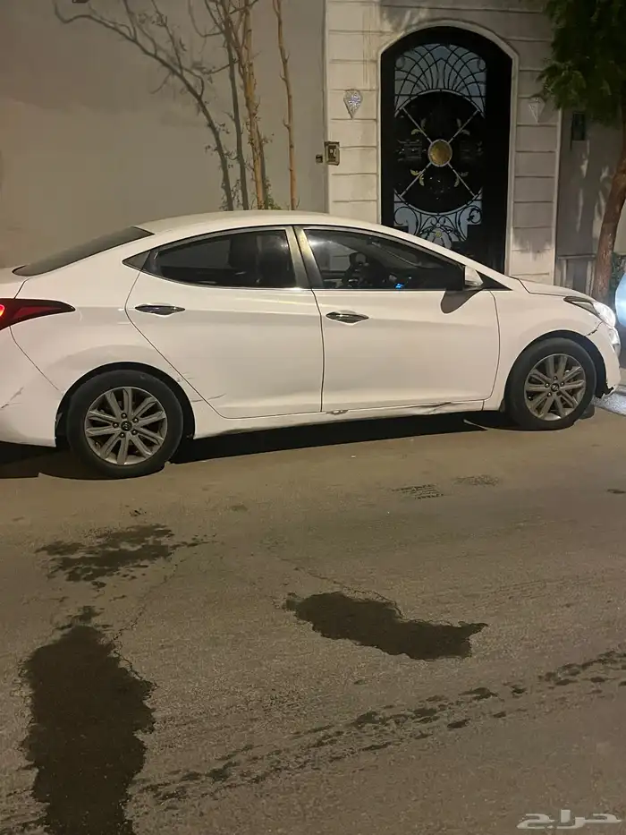 النتراء 2014 4