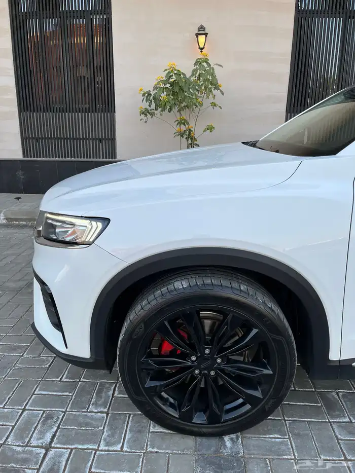 جيلي توجيلا وكاله مشروط كفرات جديده 6