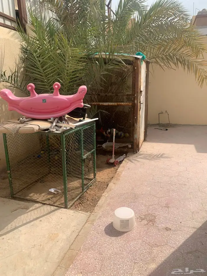 شبك دجاج 2 متر في 2متر شغل حداد 2