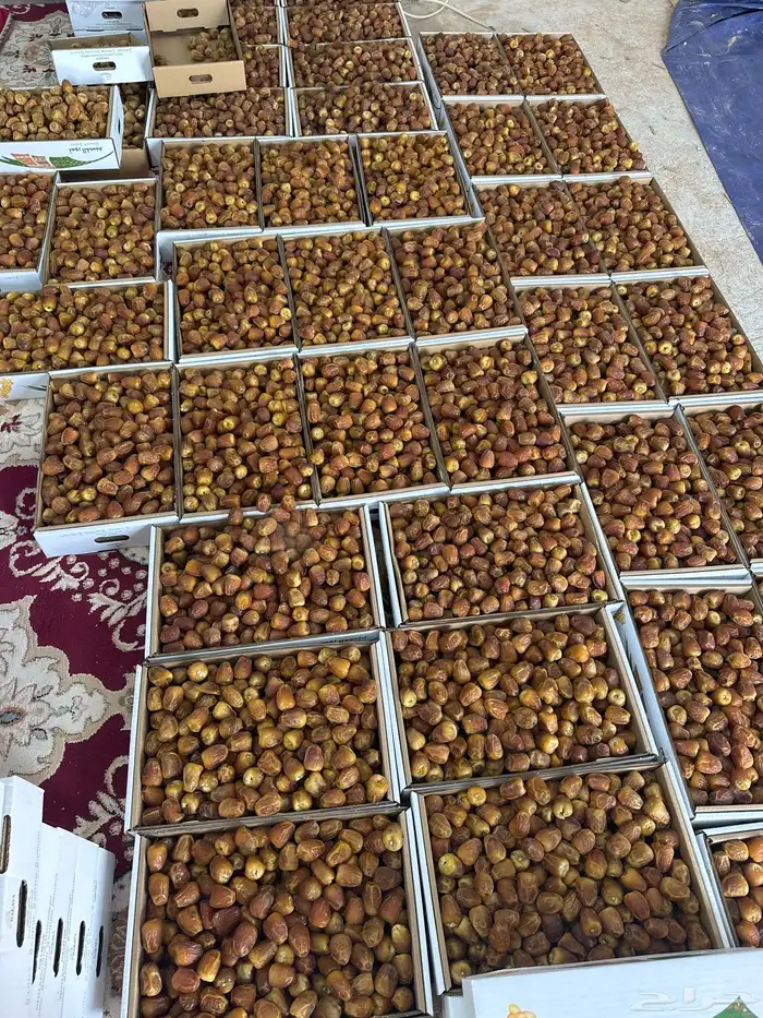 تمر للبيع 2