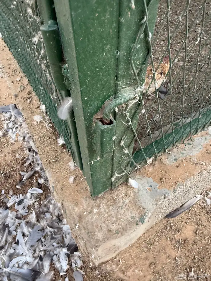 شبك حمام 4 3 2