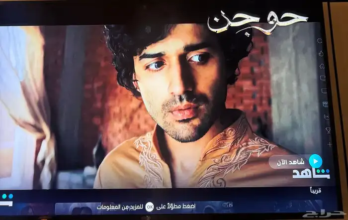 شاشة تلفزيون 1