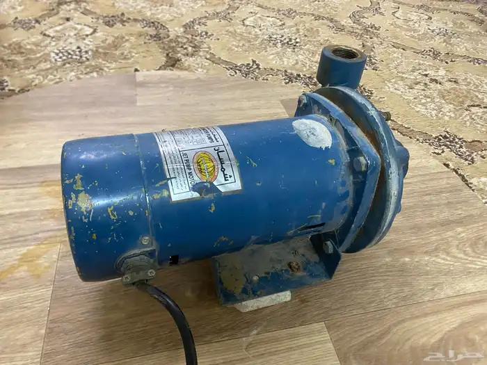 دينمو شمسان نص حصان على الشرط 1