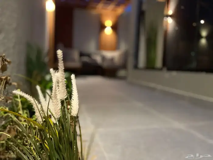 شاليهات بإطلالة على البحر 22