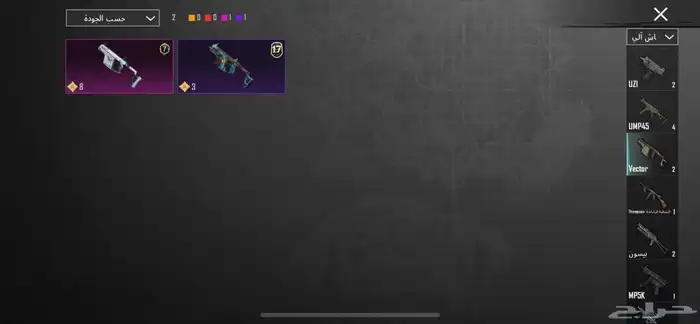 حساب ببجي للبيع 36