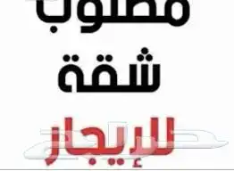 احتاج شقه شفه ايجار 0
