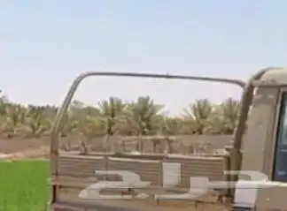 للبيع عقرب جيب شاص بدون تخريم الحوض نضيف 0