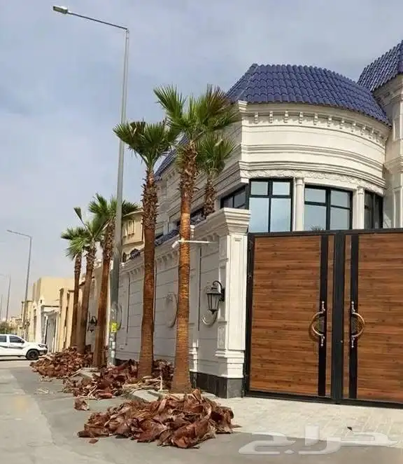 تكريب نخل 2