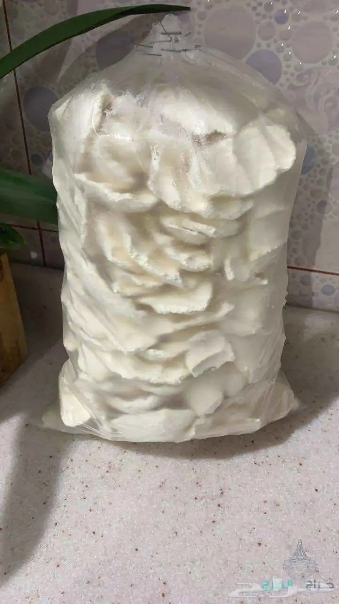 منتجات اللبان 1
