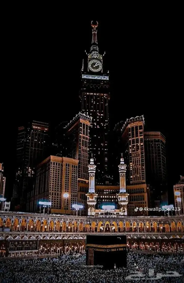 محتاج حلال 0