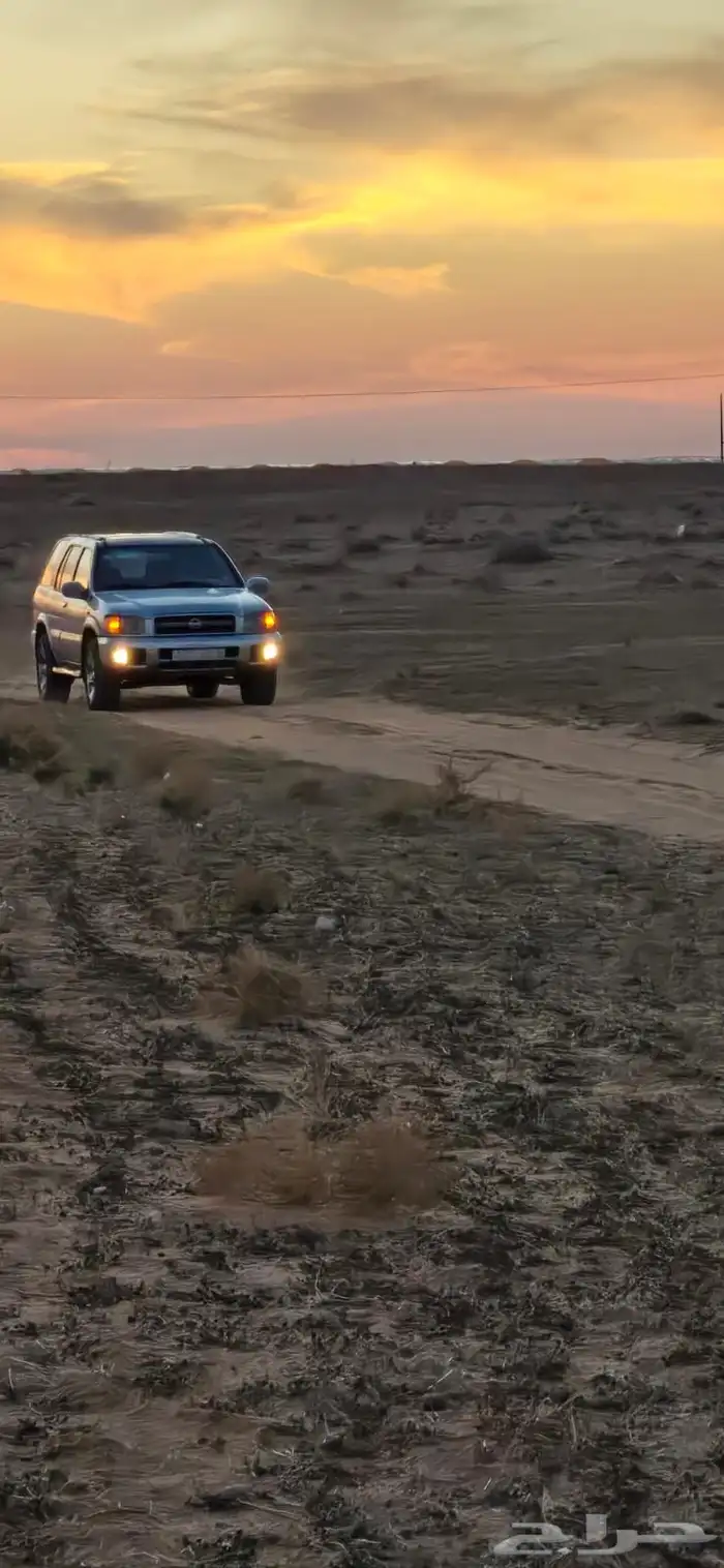 باتفندر 2004 14