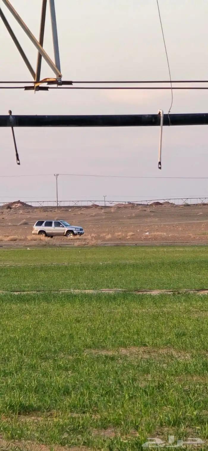 باتفندر 2004 15