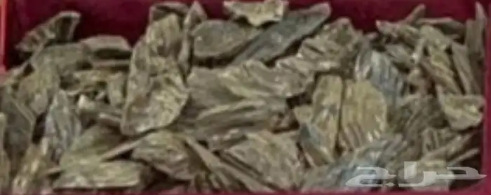 عود 1